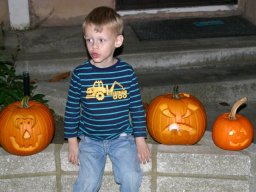 2010 Pumpkin Patch